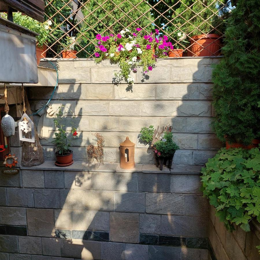 Guest House Planinski Zdravets Bansko Ngoại thất bức ảnh
