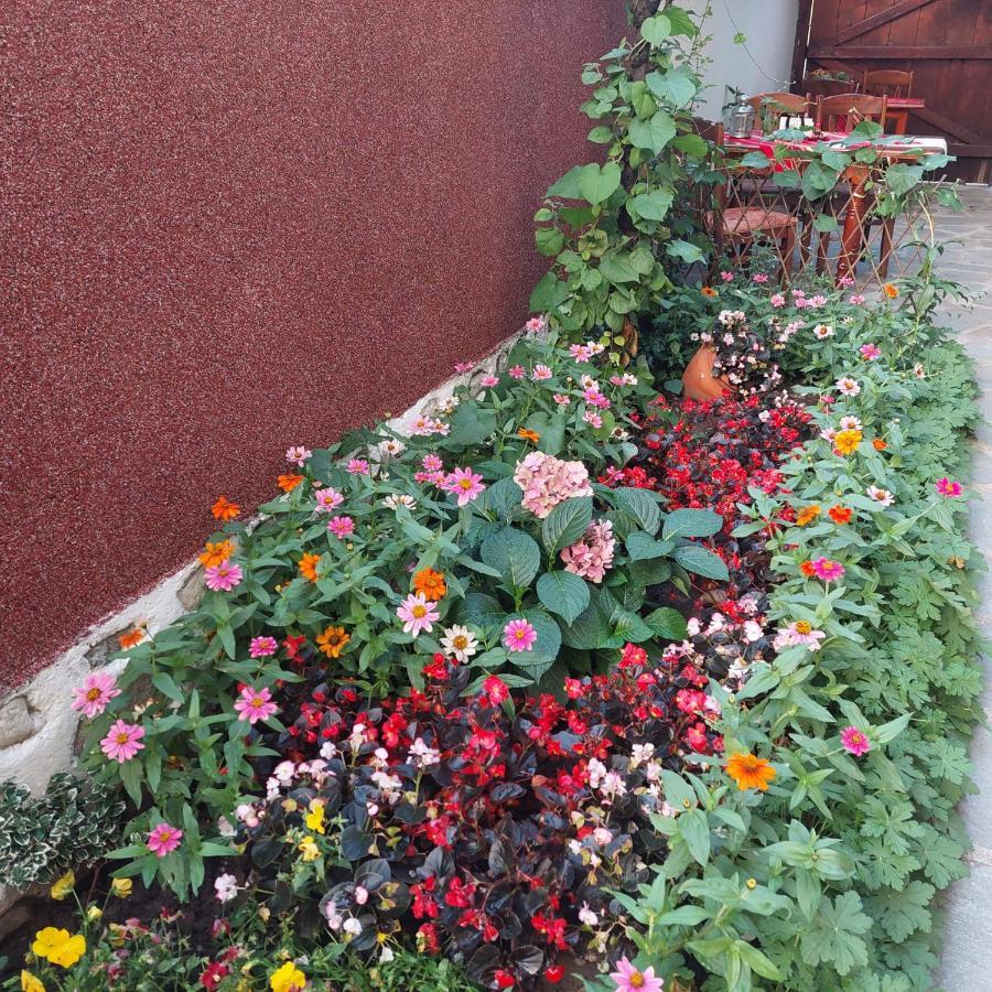 Guest House Planinski Zdravets Bansko Ngoại thất bức ảnh