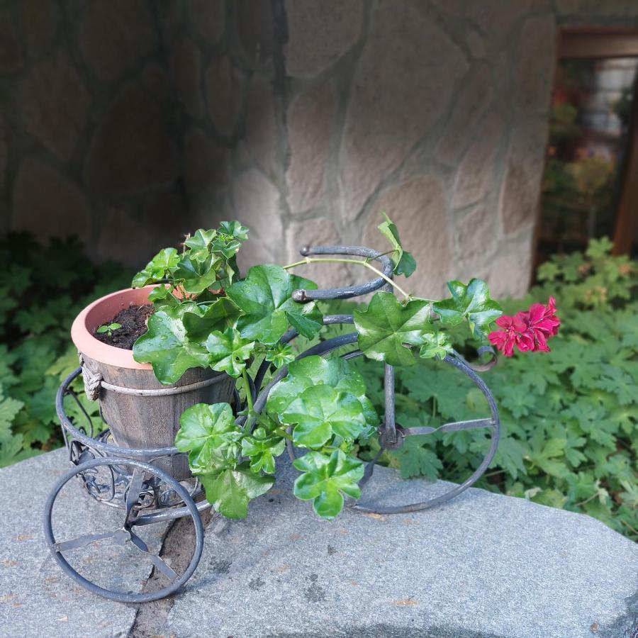 Guest House Planinski Zdravets Bansko Ngoại thất bức ảnh