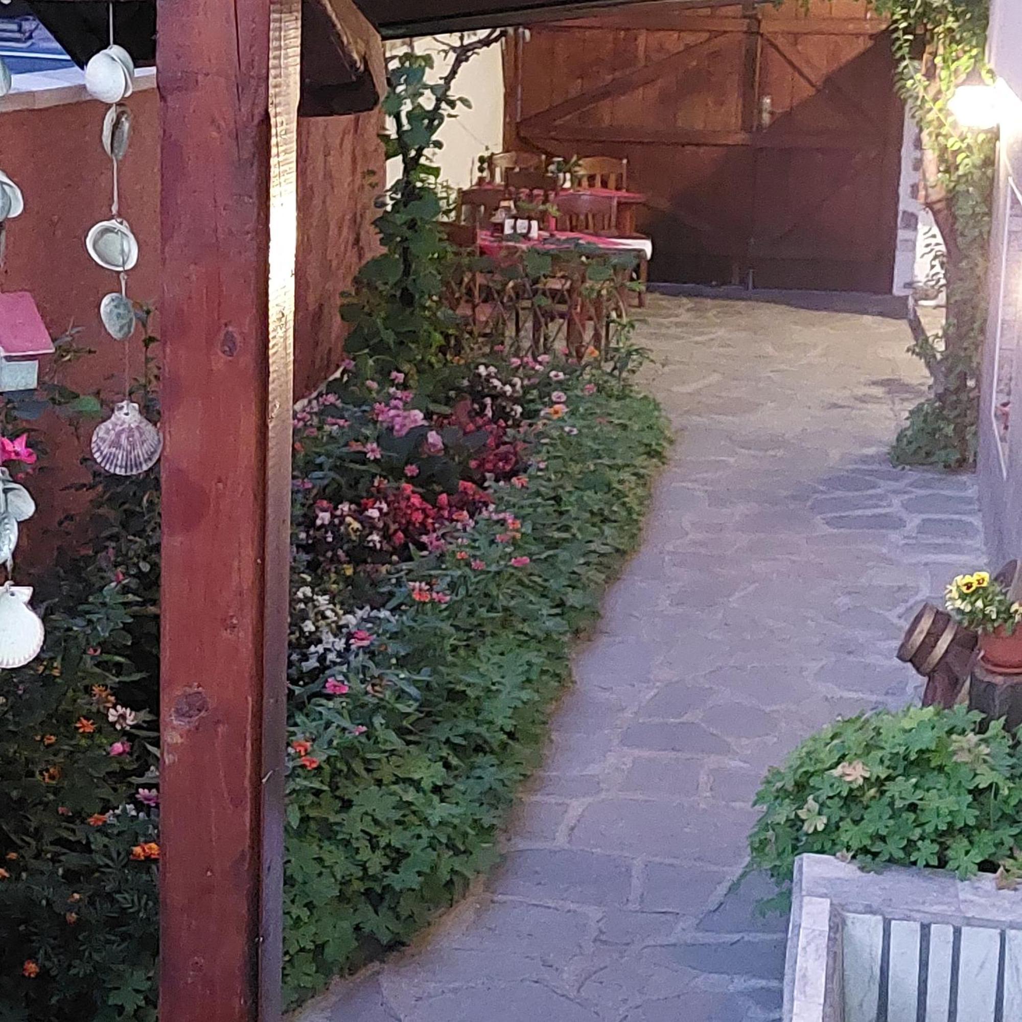 Guest House Planinski Zdravets Bansko Ngoại thất bức ảnh