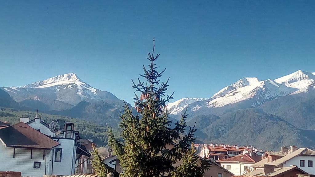 Guest House Planinski Zdravets Bansko Ngoại thất bức ảnh